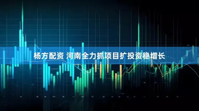 杨方配资 河南全力抓项目扩投资稳增长